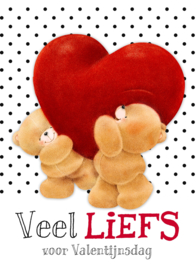 Valentijns diner voor twee