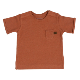 Prematuur Shirtje melange