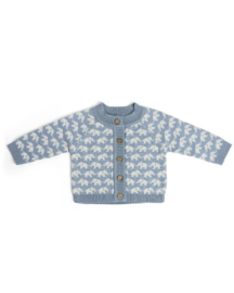 Smallstuff vestje Finn - Lichtblauw