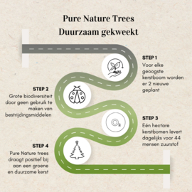 Deense Nordmann Pure Nature Tree Silver