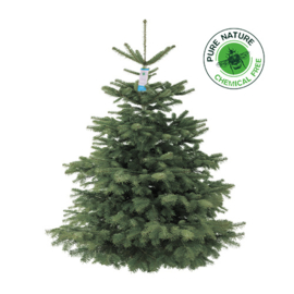 Deense Nordmann Pure Nature Tree Silver