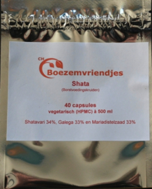 Boezemvriendjes Shata - 40 caps vegetarisch (HPMC) à 450 mg