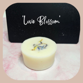 Waxmelt Love Blossem