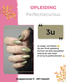 Perfectie Training 3u