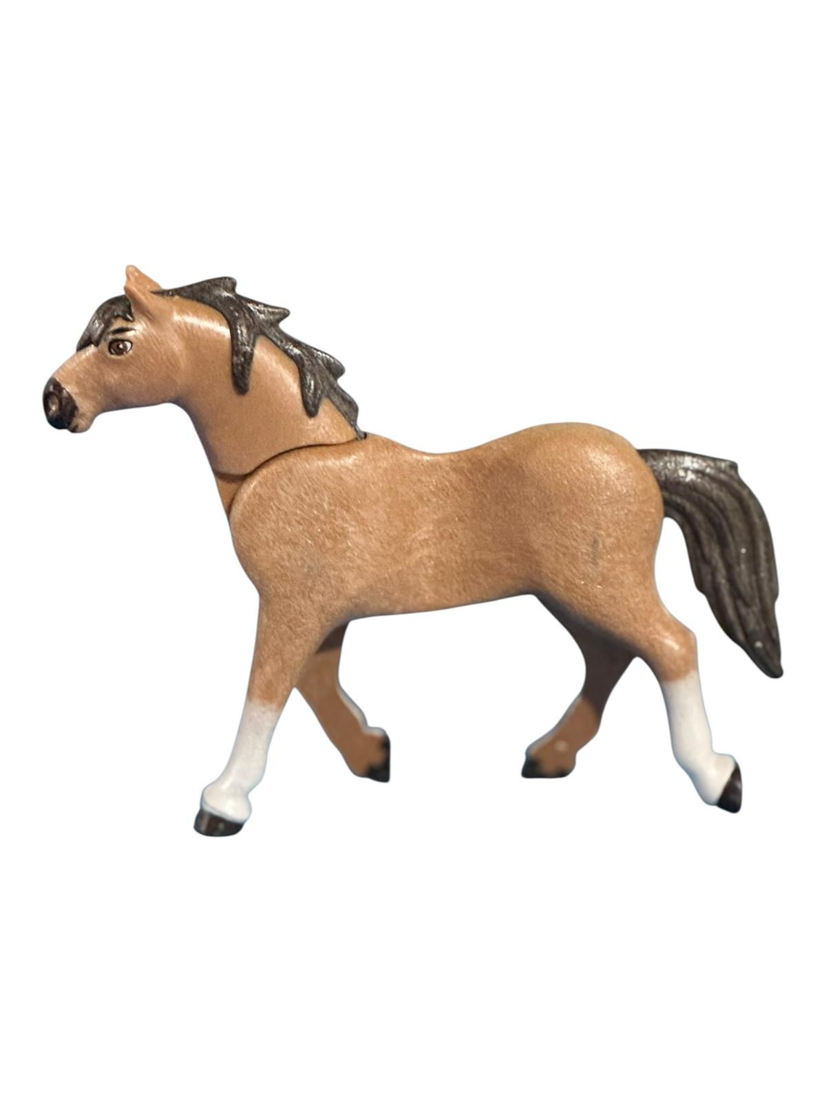 D0142 Paard