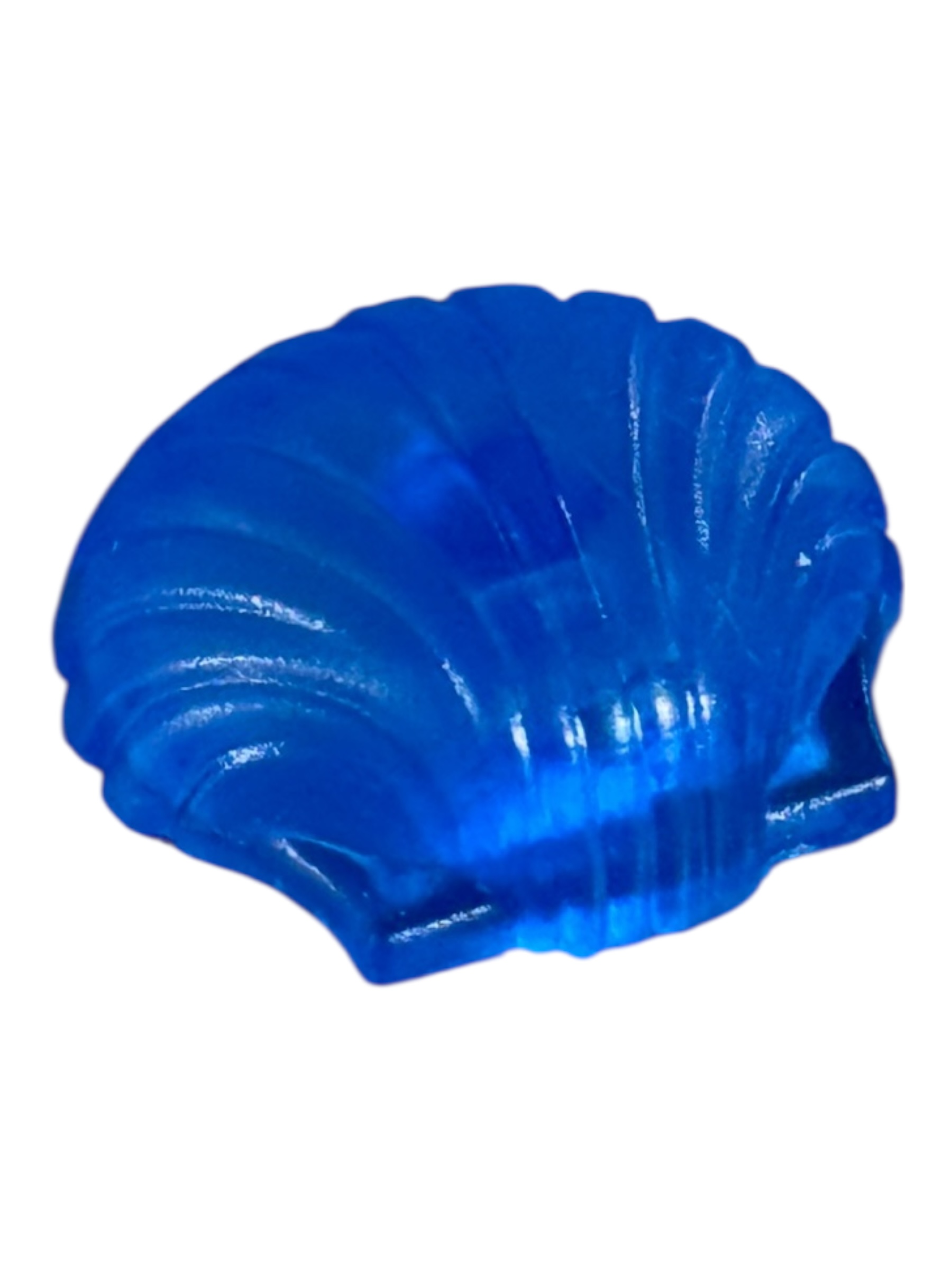 schelp blauw  30036825