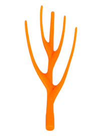oranje riet 30029770