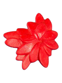 plant bloem rood