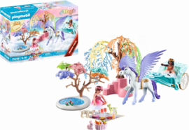 Picknick met Pegasuskoets - 71246