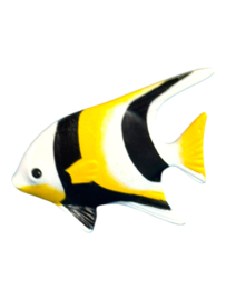 Vis, engel- (lange vinnen) 30625628 / 30648500