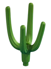 Cactus takken 30098290