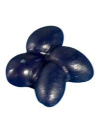 eieren donker blauw / zwart