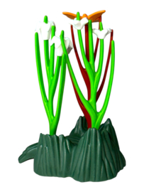 natuur 6