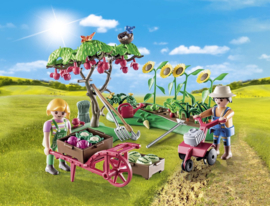 Boerderij moestuin Starterpack - 71380