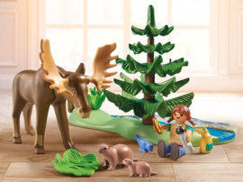 North American Animals Excursion  - 71403
