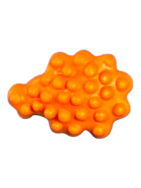 bloem oranje 30067042