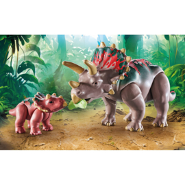 Triceratops familie - 71821