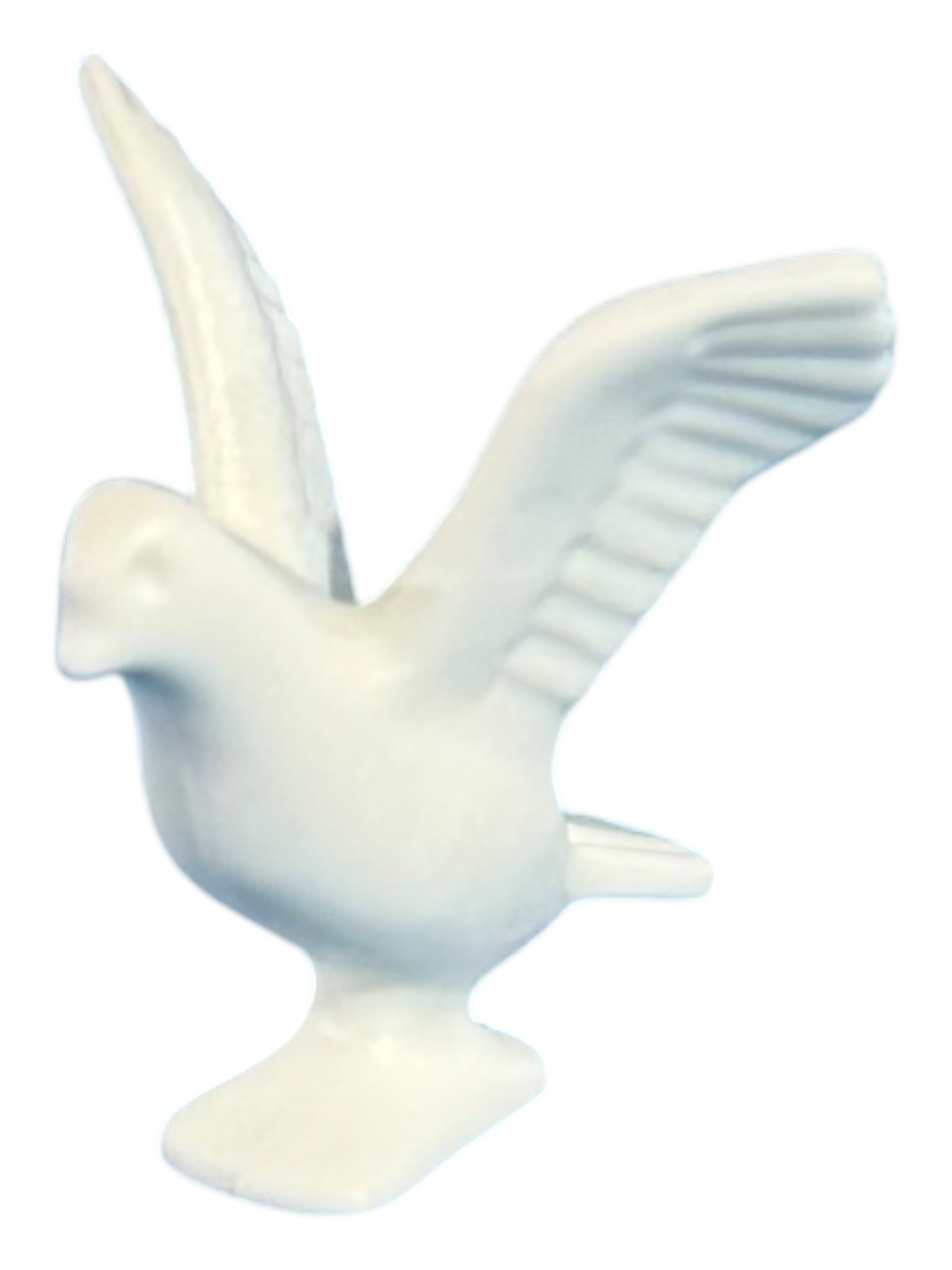 duif wit 30096260
