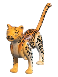 Jaguar/luipaard 30658075