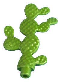 Cactus plant 30055140