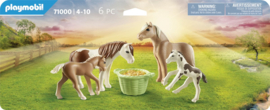 2 IJslandse pony's met veulens - 71000