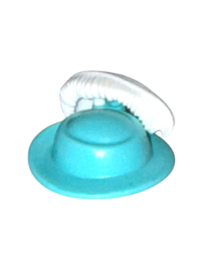 hoed  victoriaans liggende veer