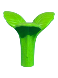 grondplant  licht groen