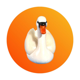 Zwaan