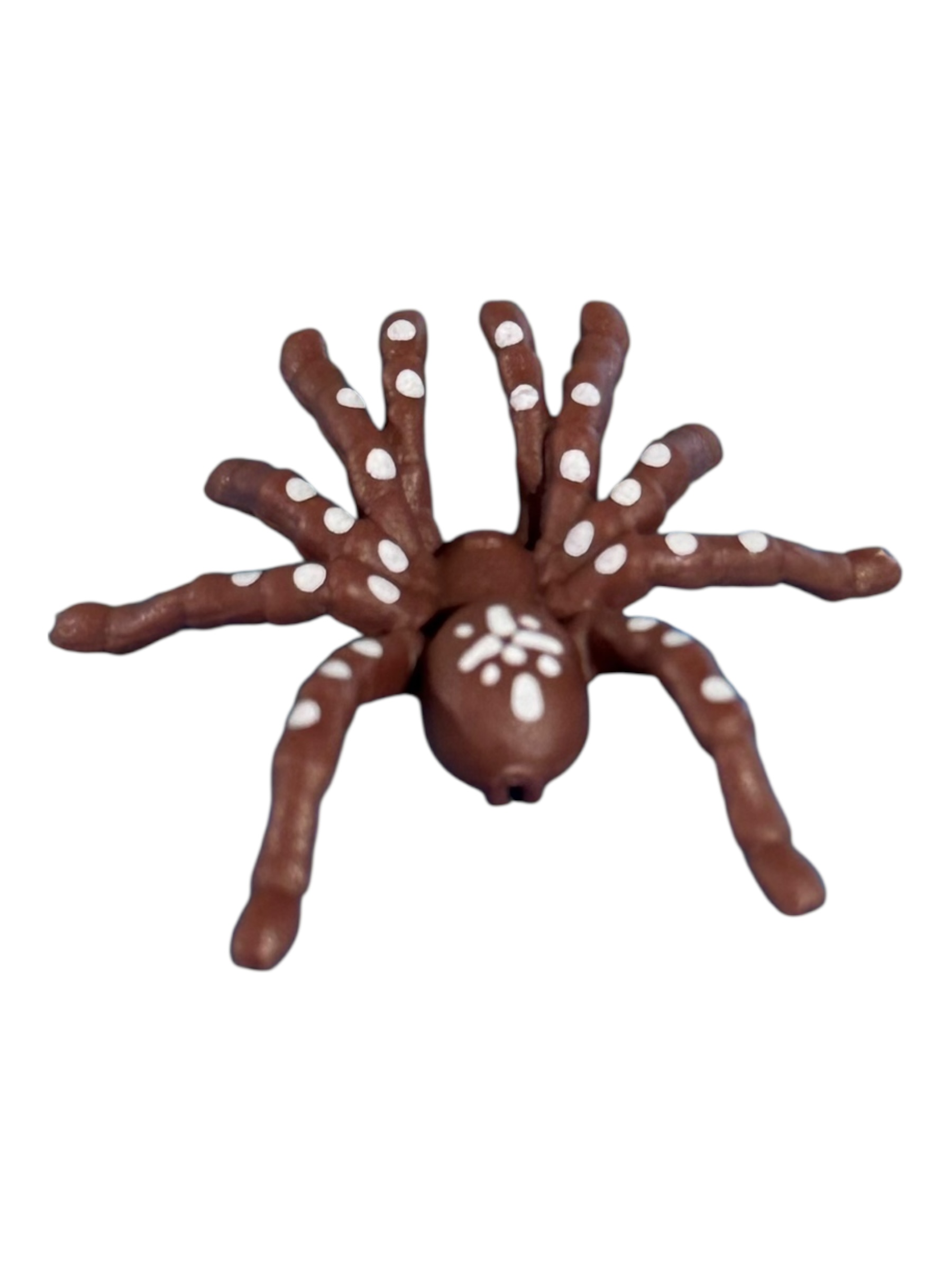 Vogelspin 30830490