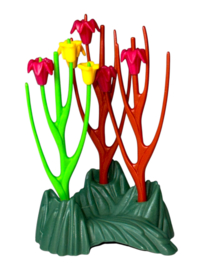 natuur 6