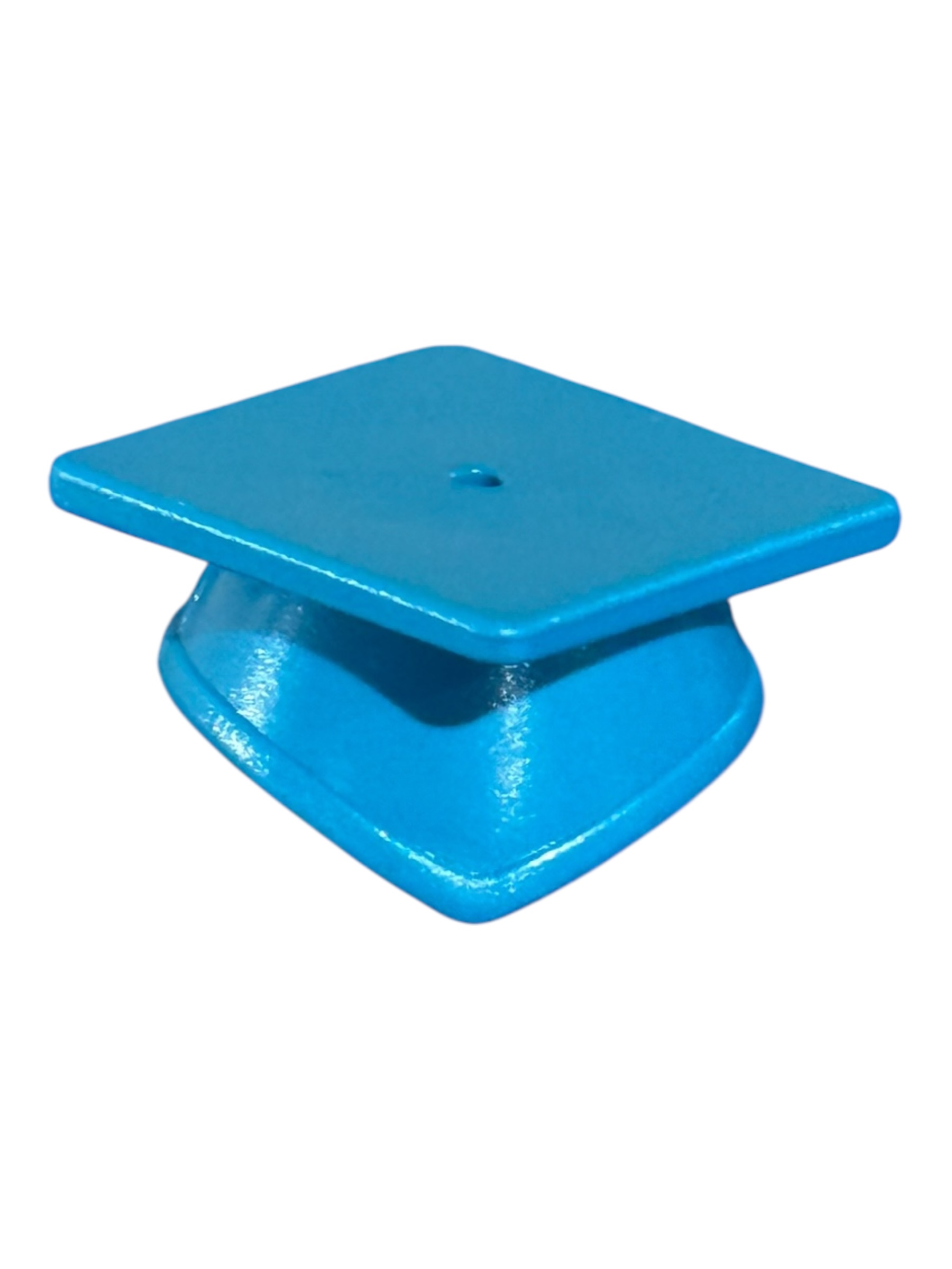 afstudeer pet blauw 30039534