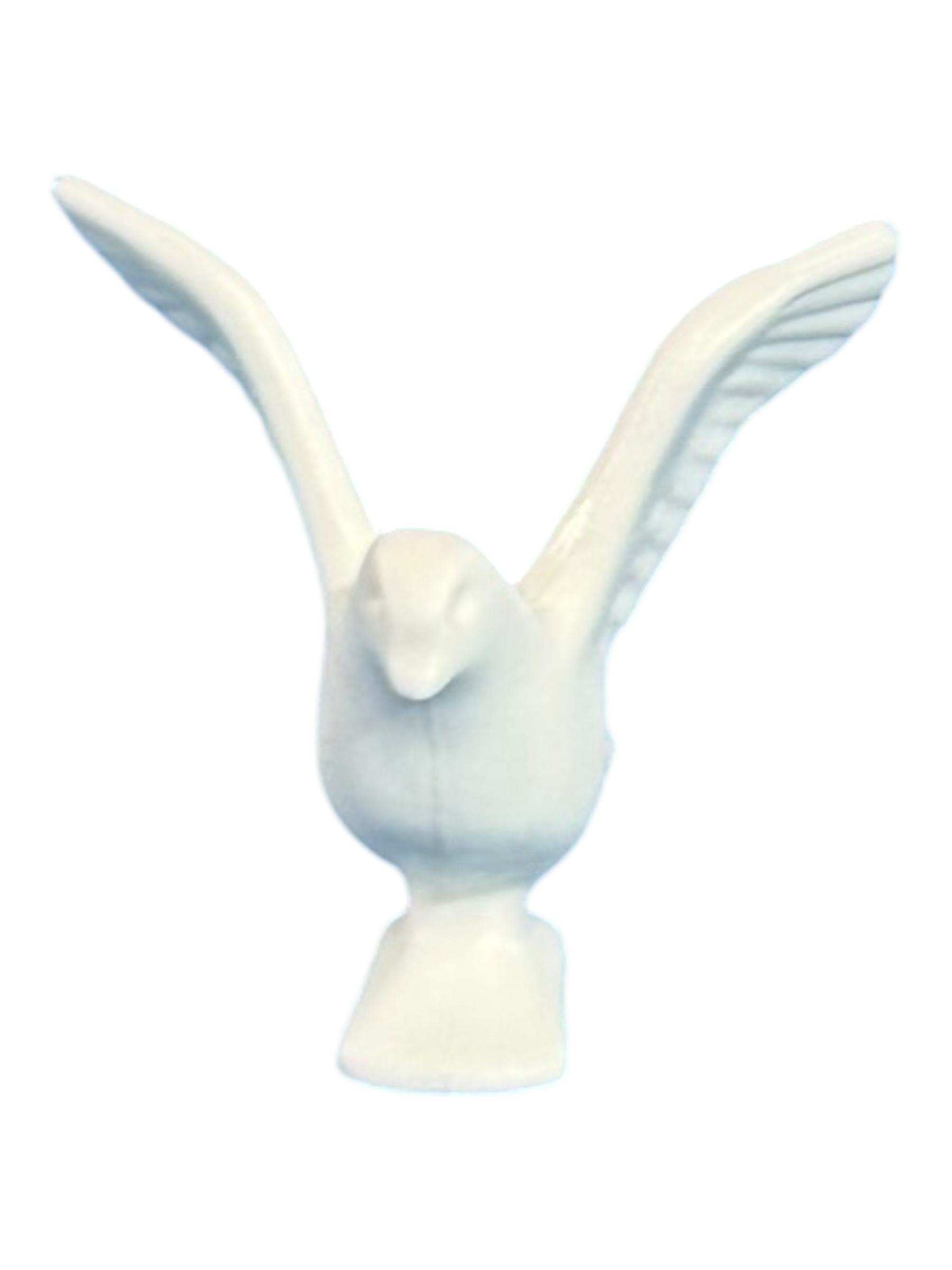 duif wit 30096260