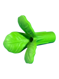 grondplant  licht groen