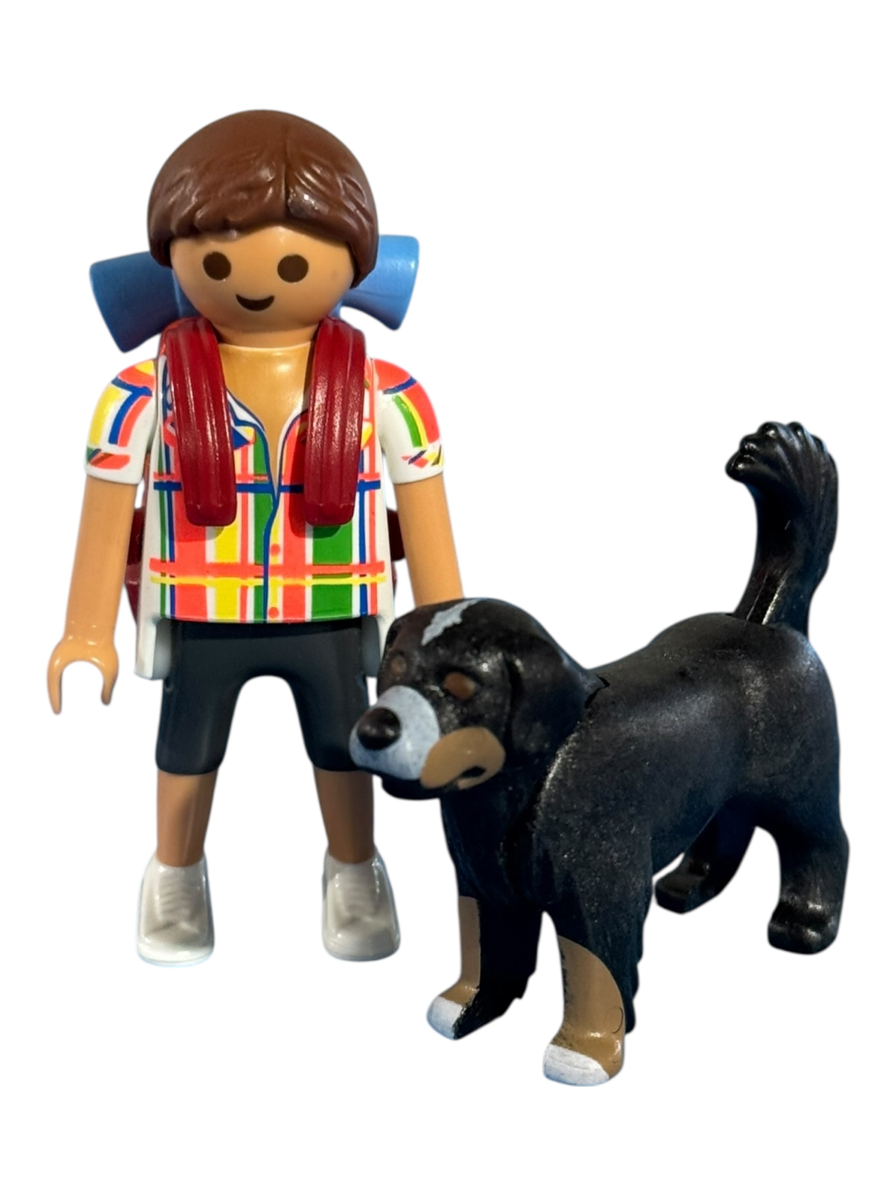 My Happy serie 3 man 2 Wandelaar met hond