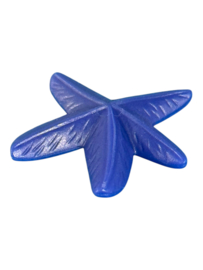 Zeester blauw 30251210