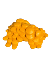 Plant mos oranje 30251360