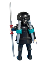 serie 20 ninja