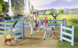 Ranch - 71351
