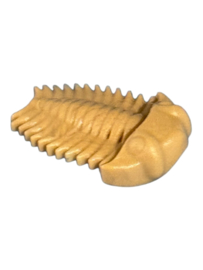 vis fossiel bruin 30243072