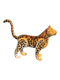 Jaguar/luipaard 30658075