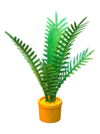 kamerplanten