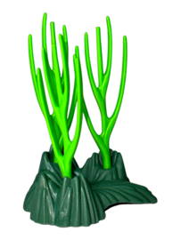 natuur 4