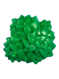plant groen 1 30225790