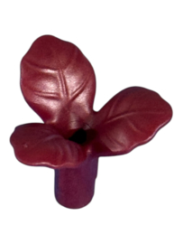 Plant aubergine kleurig 30243052