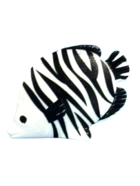 Tropische vis 30623847