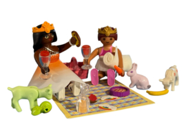 Zomer picknick