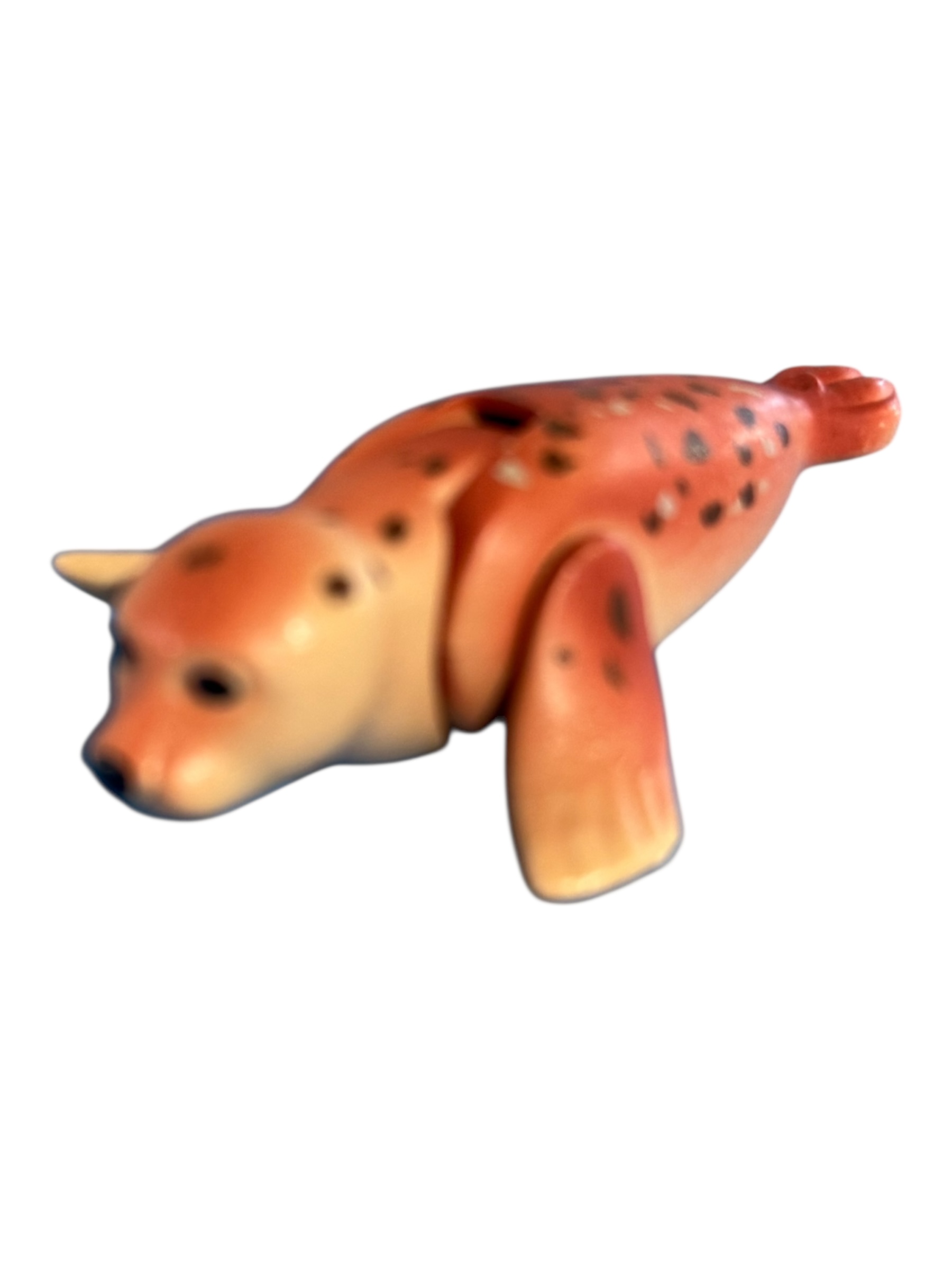 zeehond groot  30620229