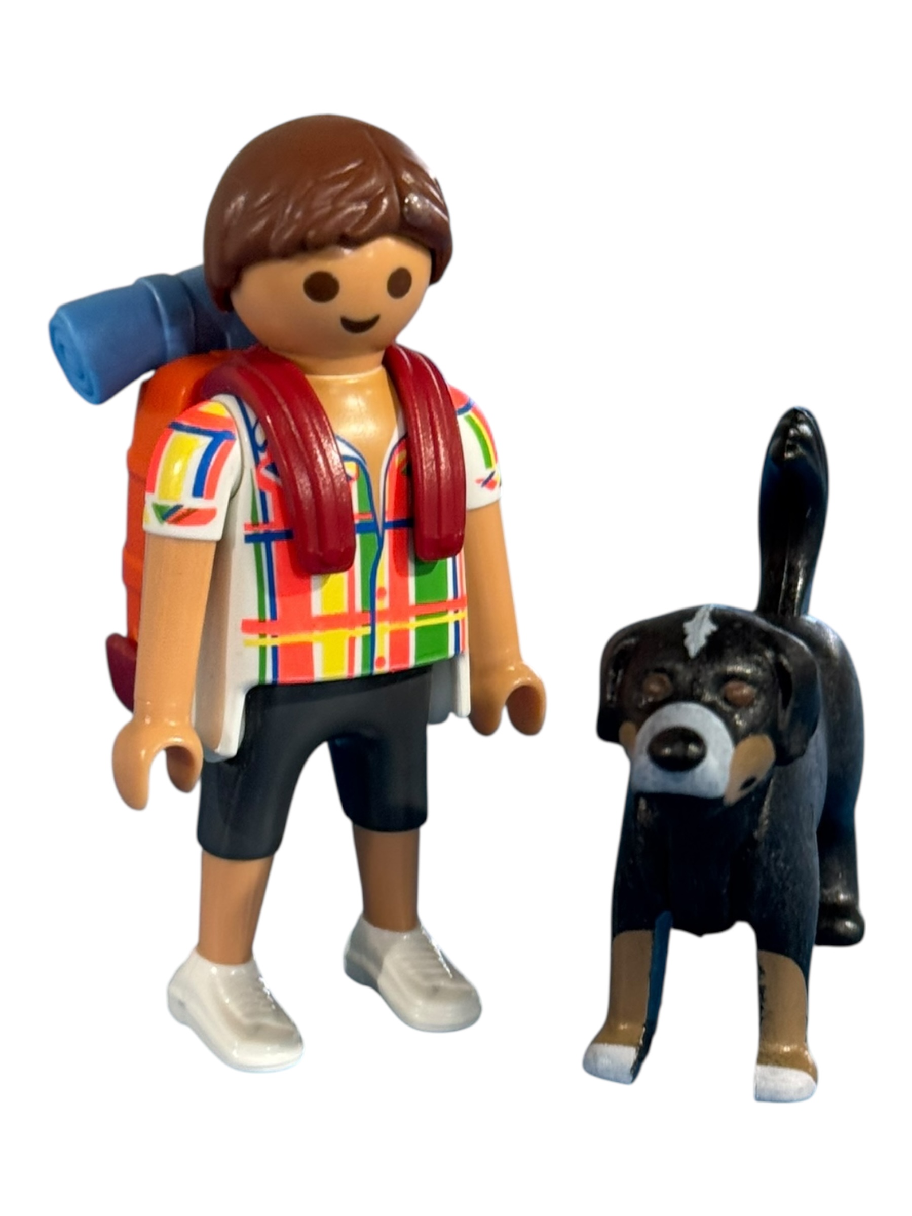 My Happy serie 3 man 2 Wandelaar met hond