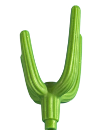 Cactus takken 30098290