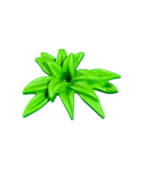 Grondplant licht groen 30241583